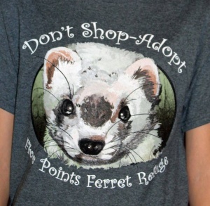 Five Points Ferret Refuge fundraiser